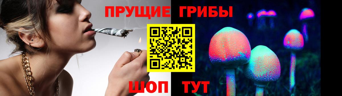 Саратов  Галлюциногенные грибы GOLDEN TEACHER  Вход с VPN 